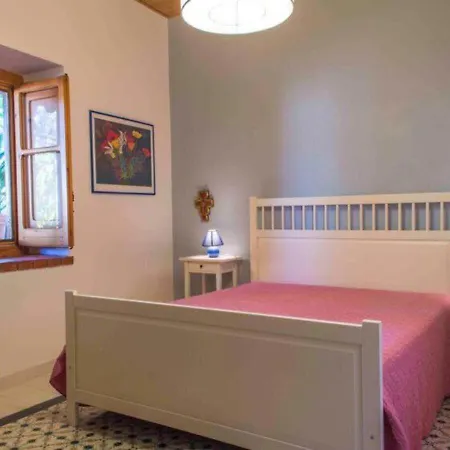 Flora Castellammare del Golfo