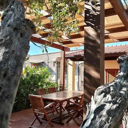 Flora Castellammare del Golfo