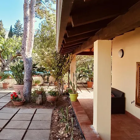 Flora Castellammare del Golfo